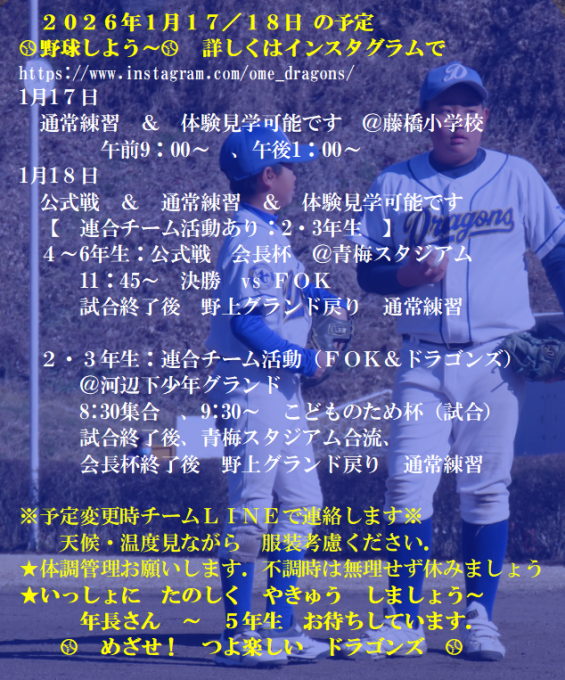 青梅ドラゴンズ