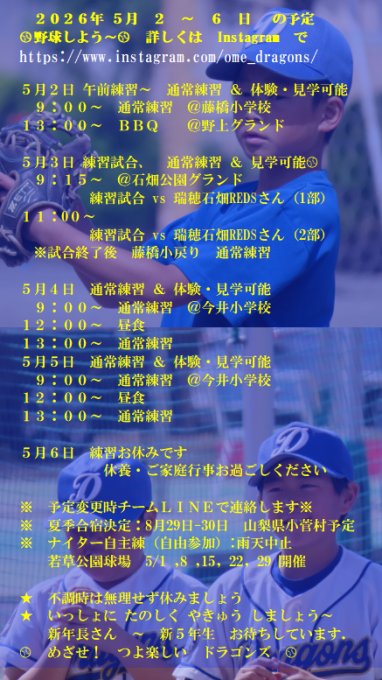 青梅ドラゴンズ