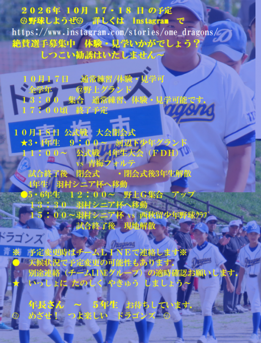 青梅ドラゴンズ